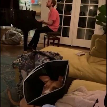 Billie Eilish Titty Slapping Video Leaked