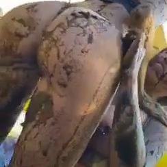 Lana Rhoades Lesbian Mud Wrestling With Brittanya Razavi Onlyfans Video