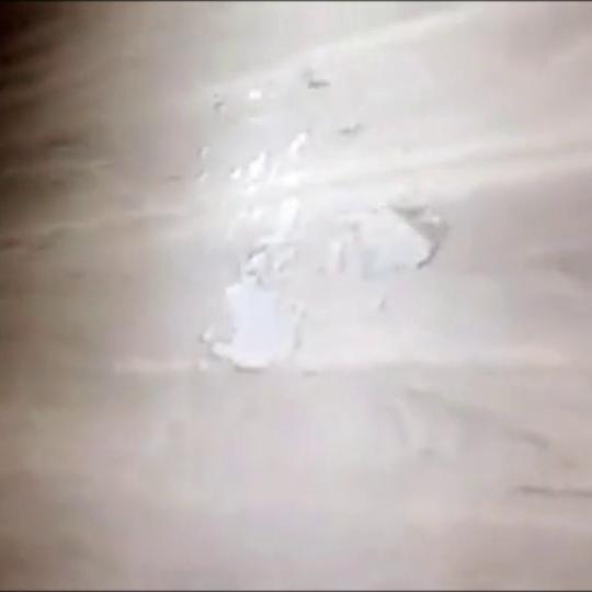 Allison Parker Premium Snapchat Video Leaked!