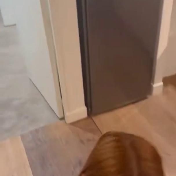 Gracewearslace Kitchen Blowjob Pov Onlyfans Video Leaked